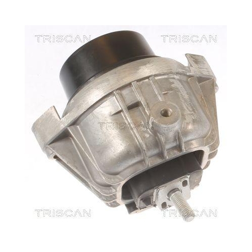 TRISCAN Lagerung, Motor 8505 11111