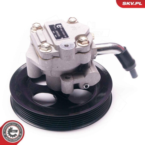 ESEN SKV Hydraulikpumpe, Lenkung 10SKV216