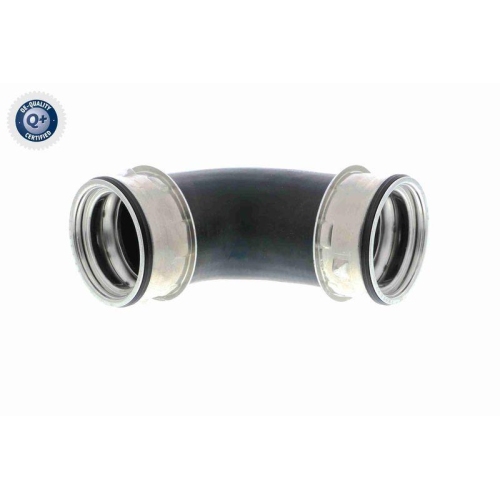 VAICO Ladeluftschlauch Q+, Erstausrüsterqualität V10-3800