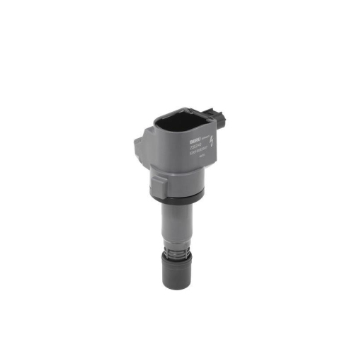 BorgWarner (BERU) Z&uuml;ndspule ZSE240