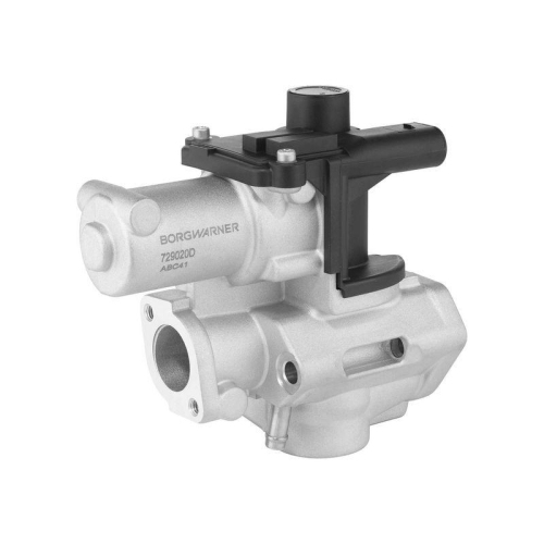 BorgWarner AGR-Ventil 729020D