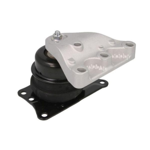 REINHOCH Lagerung, Motor RH11-0048