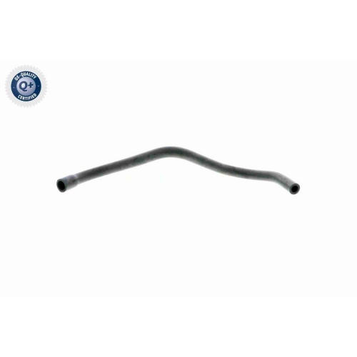 VAICO Schlauch, Kurbelgehäuseentlüftung Q+, Erstausrüsterqualität V50-0065