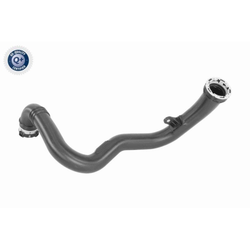 VAICO Ladeluftschlauch Q+, Erstausrüsterqualität V40-2262