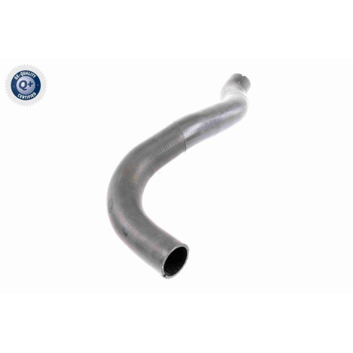 VAICO Ladeluftschlauch Q+, Erstausr&uuml;sterqualit&auml;t V42-0610