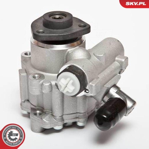ESEN SKV Hydraulikpumpe, Lenkung 10SKV043
