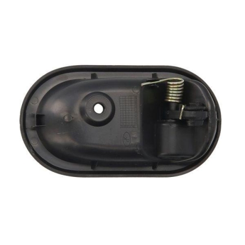 BLIC T&uuml;rgriff, Innenausstattung 6010-67-005409P