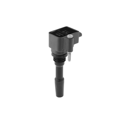 BorgWarner (BERU) Z&uuml;ndspule ZSE259