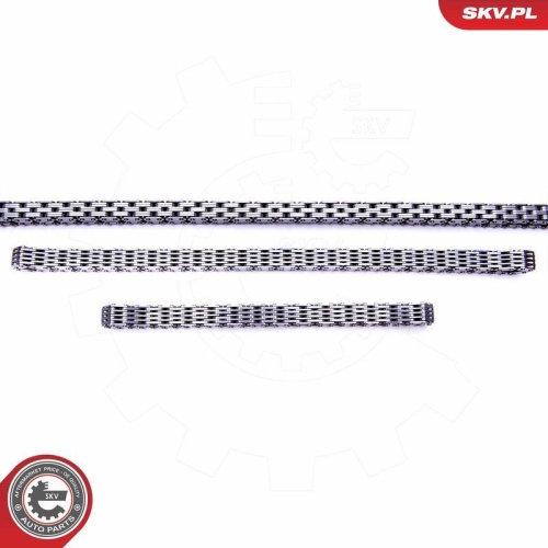ESEN SKV Steuerkettensatz 21SKV163