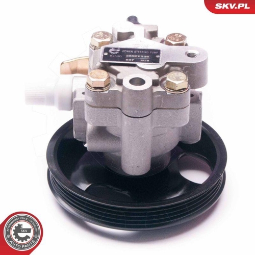ESEN SKV Hydraulikpumpe, Lenkung 10SKV228