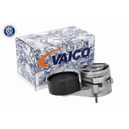 VAICO Riemenspanner, Keilrippenriemen Q+, Erstausrüsterqualität V10-8919