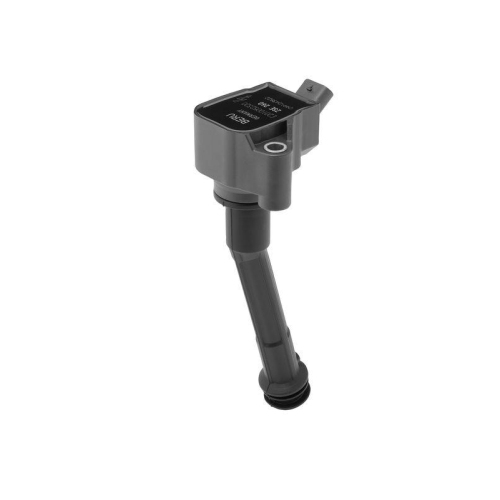 BorgWarner (BERU) Z&uuml;ndspule ZSE260