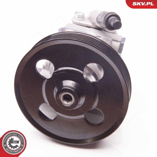 ESEN SKV Hydraulikpumpe, Lenkung 10SKV238
