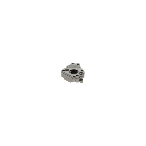 BOSCH Kraftstoffpumpe 0 440 020 052