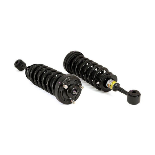 Arnott Fahrwerkssatz, Federn/D&auml;mpfer Original Arnott Produkt C-2140