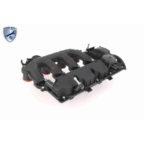 VAICO Zylinderkopfhaube EXPERT KITS + V42-1046
