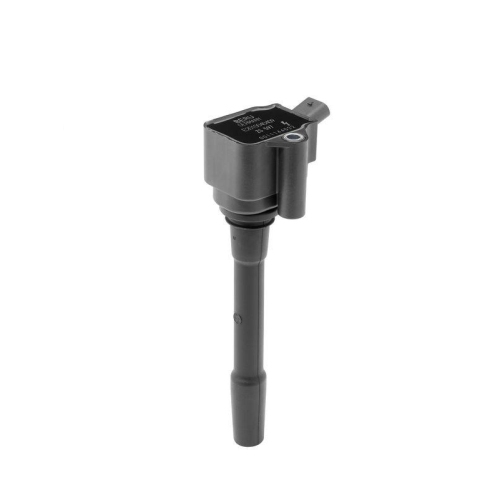BorgWarner (BERU) Z&uuml;ndspule ZS597