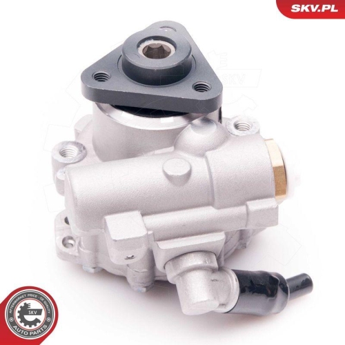 ESEN SKV Hydraulikpumpe, Lenkung 10SKV239
