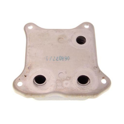 MAXGEAR Ölkühler, Motoröl