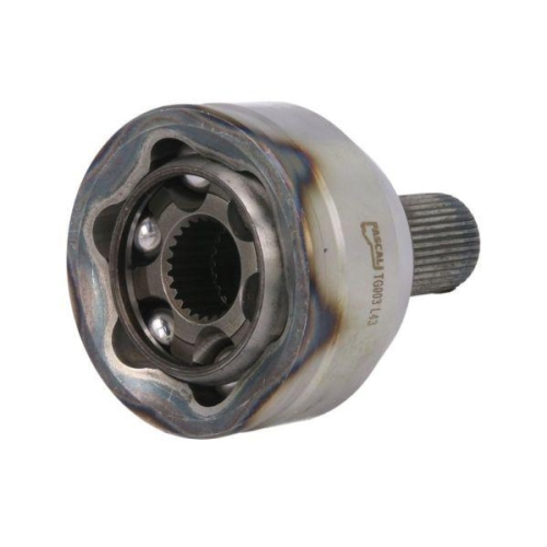 PASCAL Gelenksatz, Antriebswelle G1G045PC