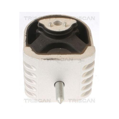 TRISCAN Lagerung, Motor 8505 23102