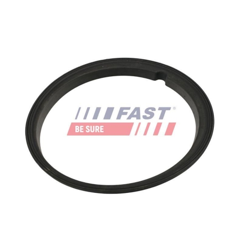 FAST Dichtung, Kraftstoffpumpe FT48502
