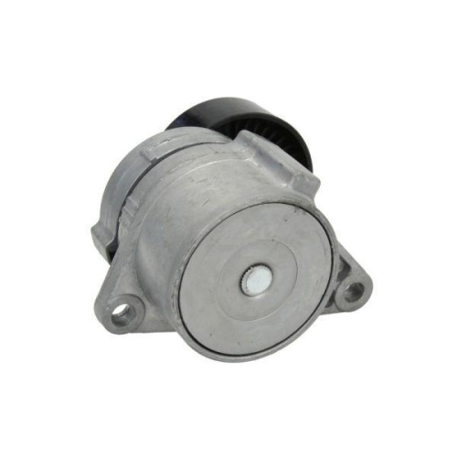 BTA Spannarm, Keilrippenriemen E3V0001BTA