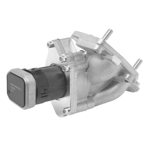 BorgWarner AGR-Ventil 710072D