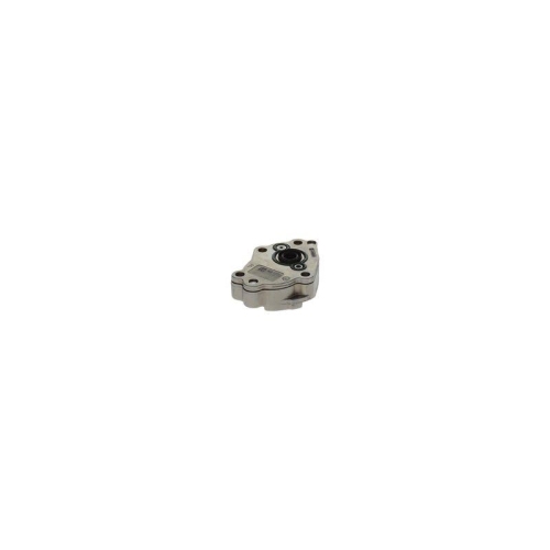 BOSCH Kraftstoffpumpe 0 440 020 065