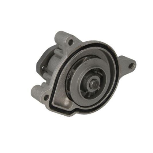 THERMOTEC Wasserpumpe, Motork&uuml;hlung D1W053TT
