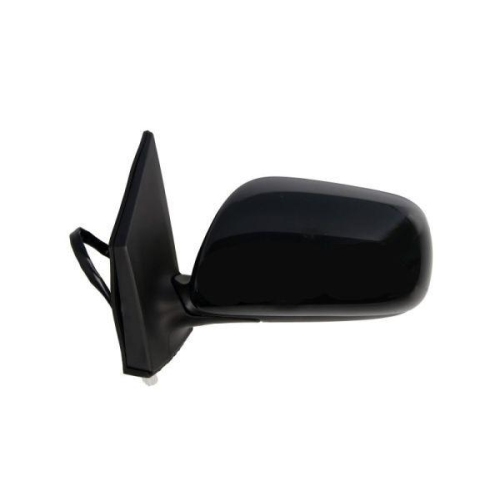 BLIC Außenspiegel 5402-19-2002461P