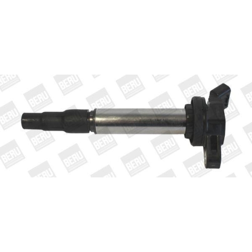 BorgWarner (BERU) Z&uuml;ndspule ZSE184