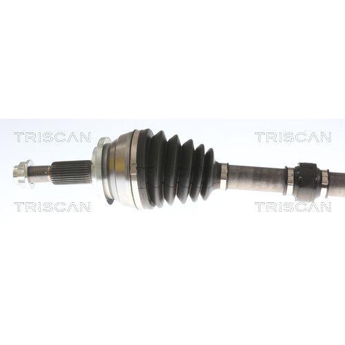 TRISCAN Antriebswelle