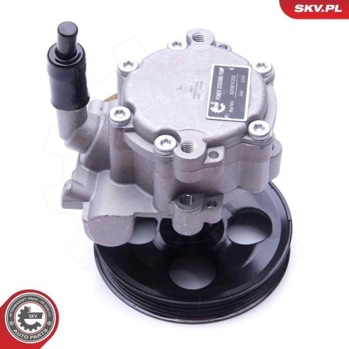 ESEN SKV Hydraulikpumpe, Lenkung 10SKV251