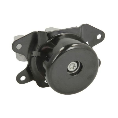 REINHOCH Lagerung, Motor RH11-5066