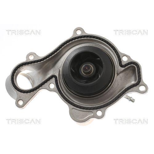 TRISCAN Wasserpumpe, Motork&uuml;hlung 8600 29102
