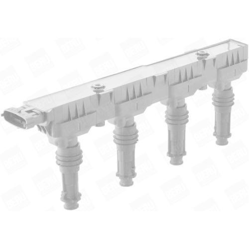 BorgWarner (BERU) Z&uuml;ndspule ZSE147