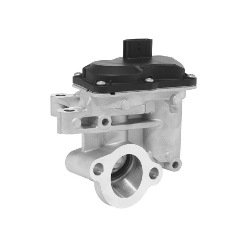 BorgWarner AGR-Ventil 712035D