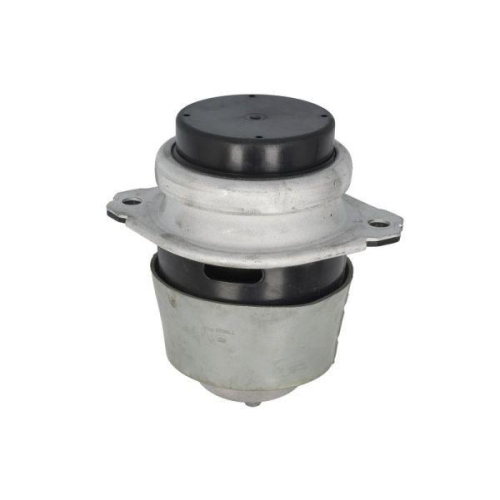 REINHOCH Lagerung, Motor RH11-0181
