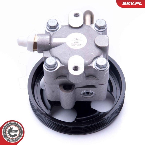 ESEN SKV Hydraulikpumpe, Lenkung 10SKV268