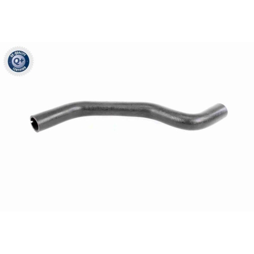 VAICO K&uuml;hlerschlauch Q+, Erstausr&uuml;sterqualit&auml;t V46-0901