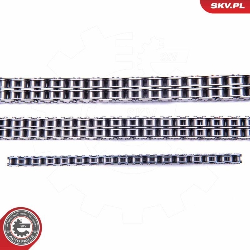 ESEN SKV Steuerkettensatz 21SKV202