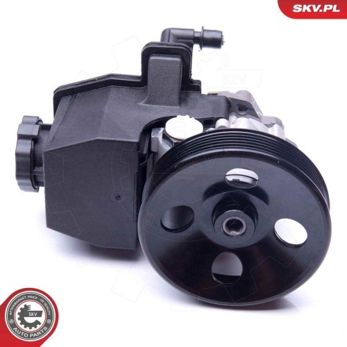 ESEN SKV Hydraulikpumpe, Lenkung 10SKV269