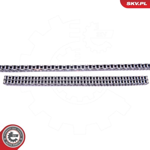 ESEN SKV Steuerkettensatz 21SKV204