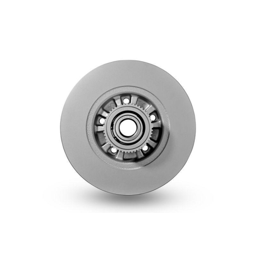 HELLA Bremsscheibe PRO 8DD 355 125-281