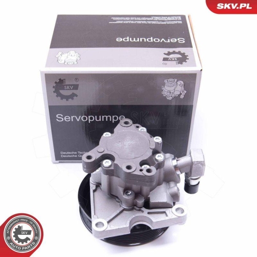 ESEN SKV Hydraulikpumpe, Lenkung 10SKV270