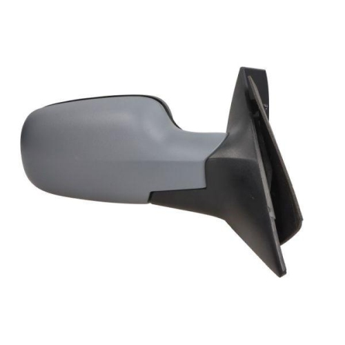 BLIC Au&szlig;enspiegel 5402-04-1129224P