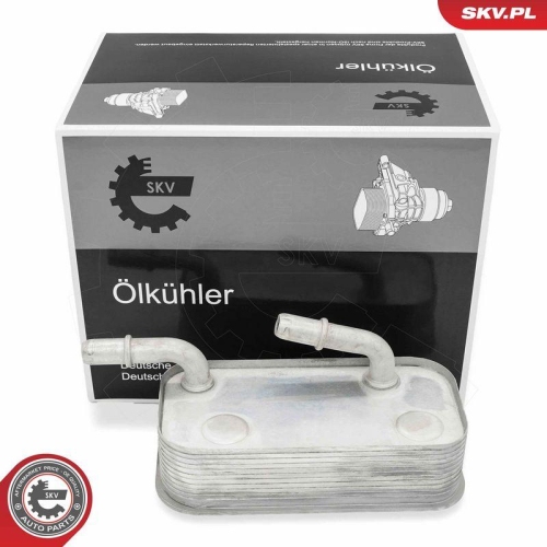 ESEN SKV &Ouml;lk&uuml;hler, Motor&ouml;l 31SKV281