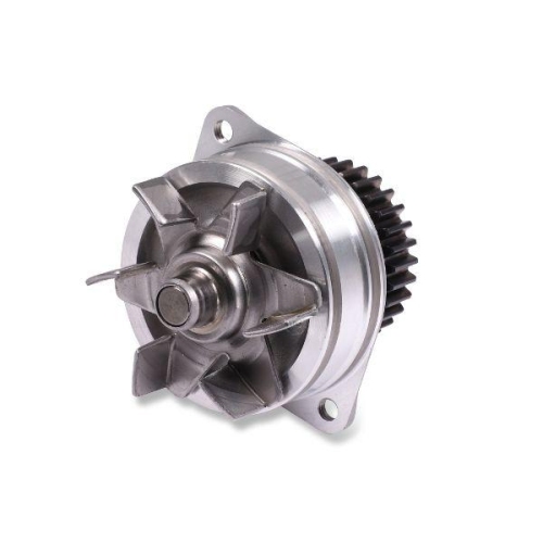 HEPU Wasserpumpe, Motork&uuml;hlung P7389