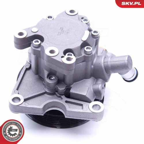 ESEN SKV Hydraulikpumpe, Lenkung 10SKV271